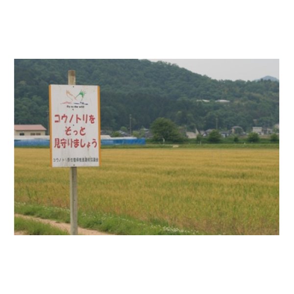 画像2: 【業務用】こうのとり醤油　900ml×12本 (2)