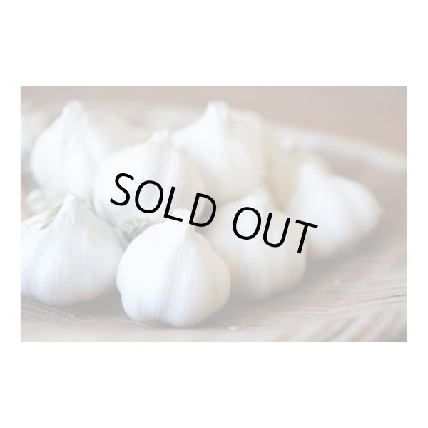 画像2: 宮崎ふぁーむのにんにく醤油 180ml (2)