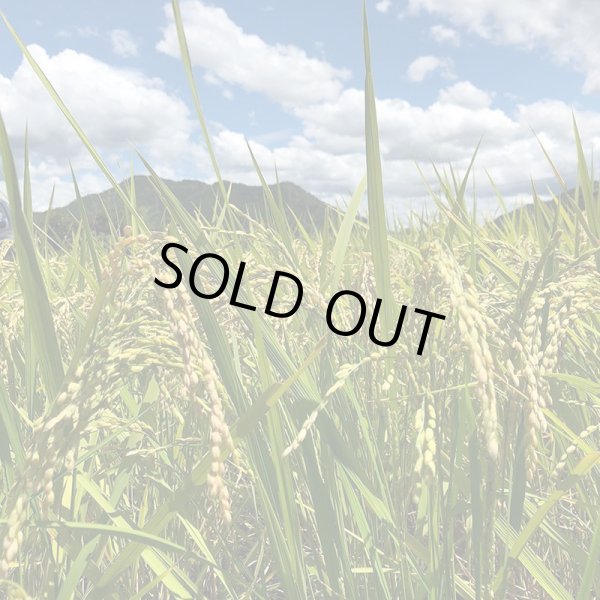 画像2: 蛇紋岩米 5kg (2)