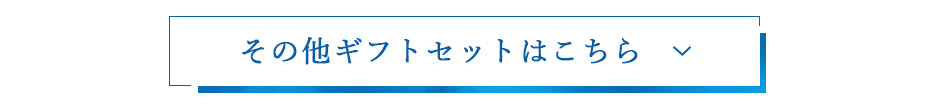 その他ギフトへ