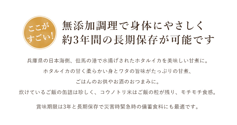 ほたるいか甘煮飯