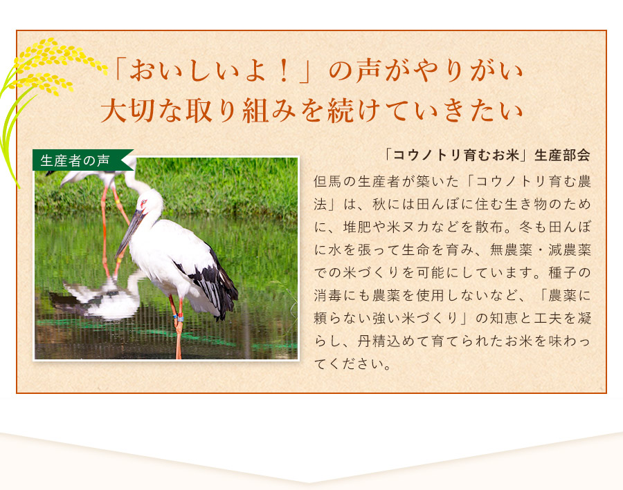 コウノトリ米